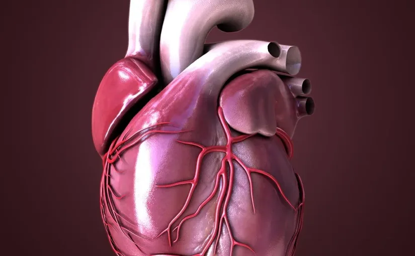 Por que o coração precisa de acompanhamento regular